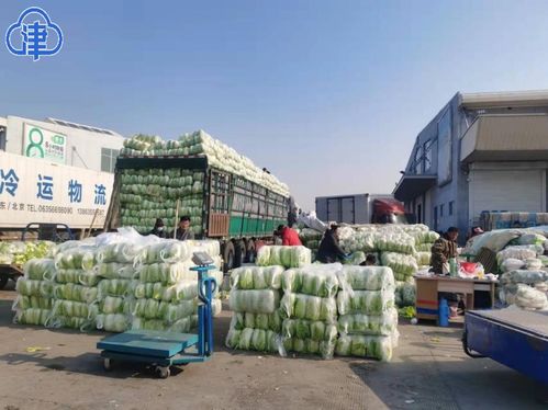 三天千里馳援 900噸天津鮮蔬鮮肉緊急調運西安保障民生